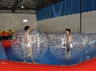 bumper ball